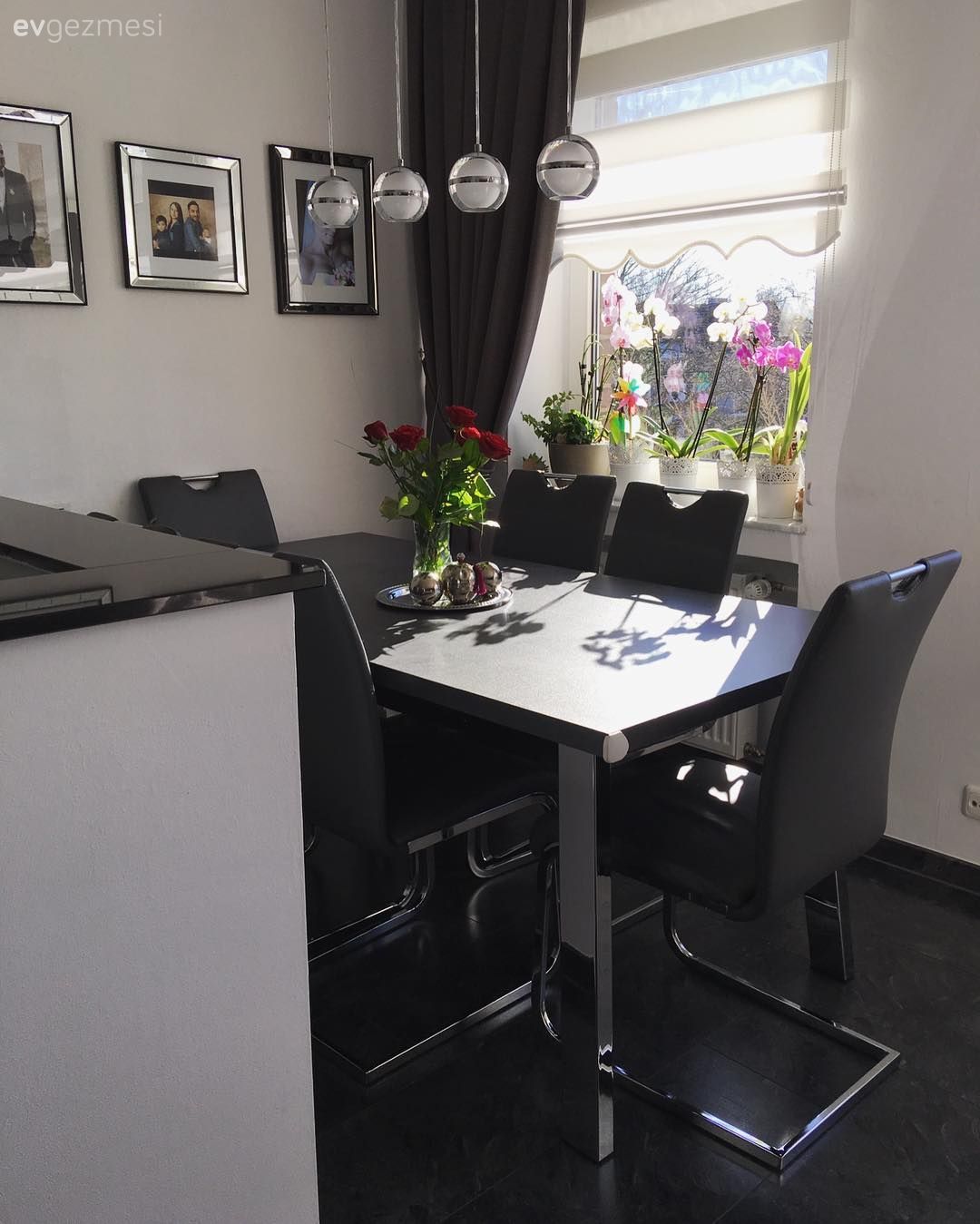 Yemek Odası, Yemek odası avizesi, Duvar dekorasyonu