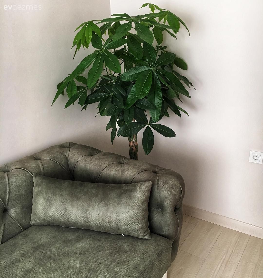 Bu Evin Her Bölümünde Modern Stilin Hakkı Verilmiş