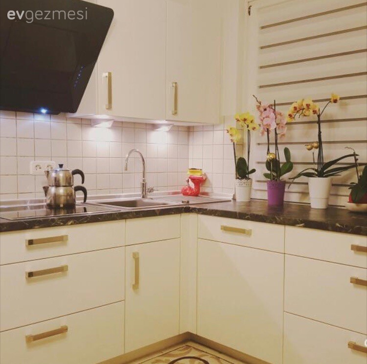 Bu mutfağın neşesi pencere önündeki orkideleri..