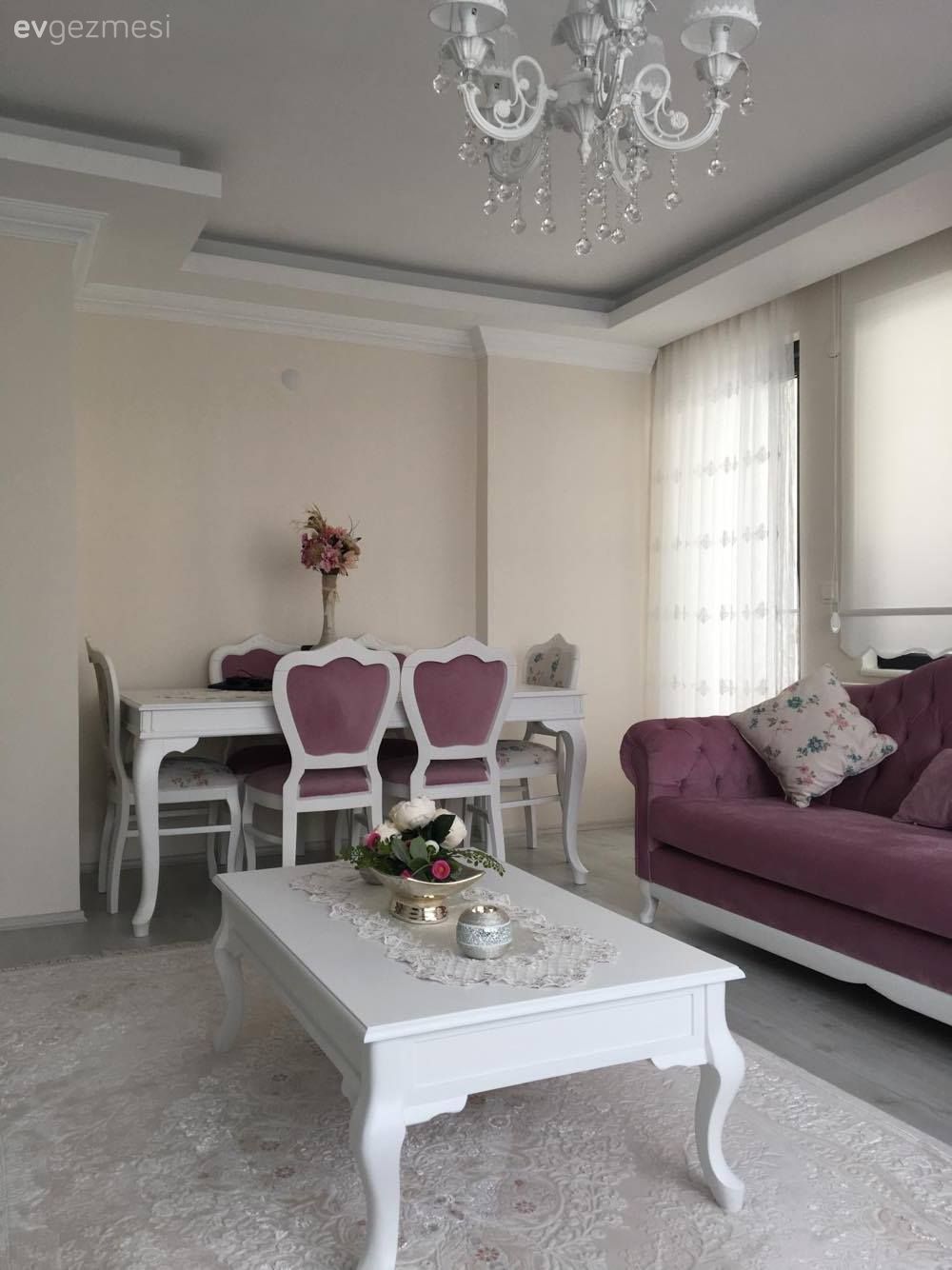 Salon, Pembe, Orta sehpa, Yemek Odası, Halı, Country