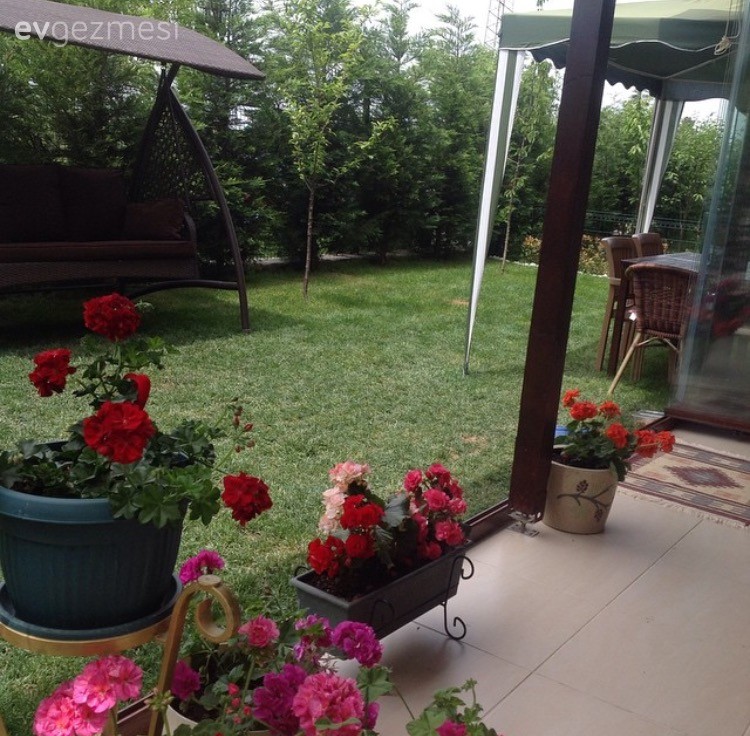 Bahçe, Balkon, Çiçekler