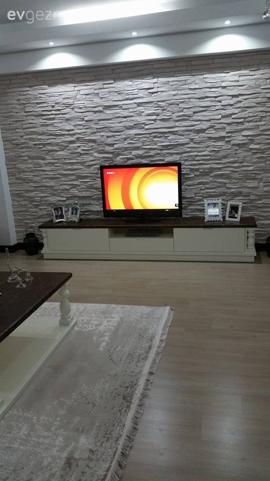 Salon, Taş duvar, Tv ünitesi