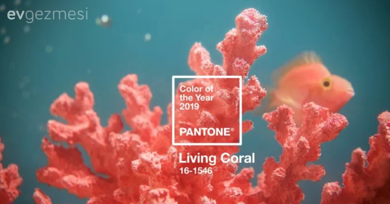 Pantone 2019 Yılının Rengini Seçti: Yaşayan Mercan!