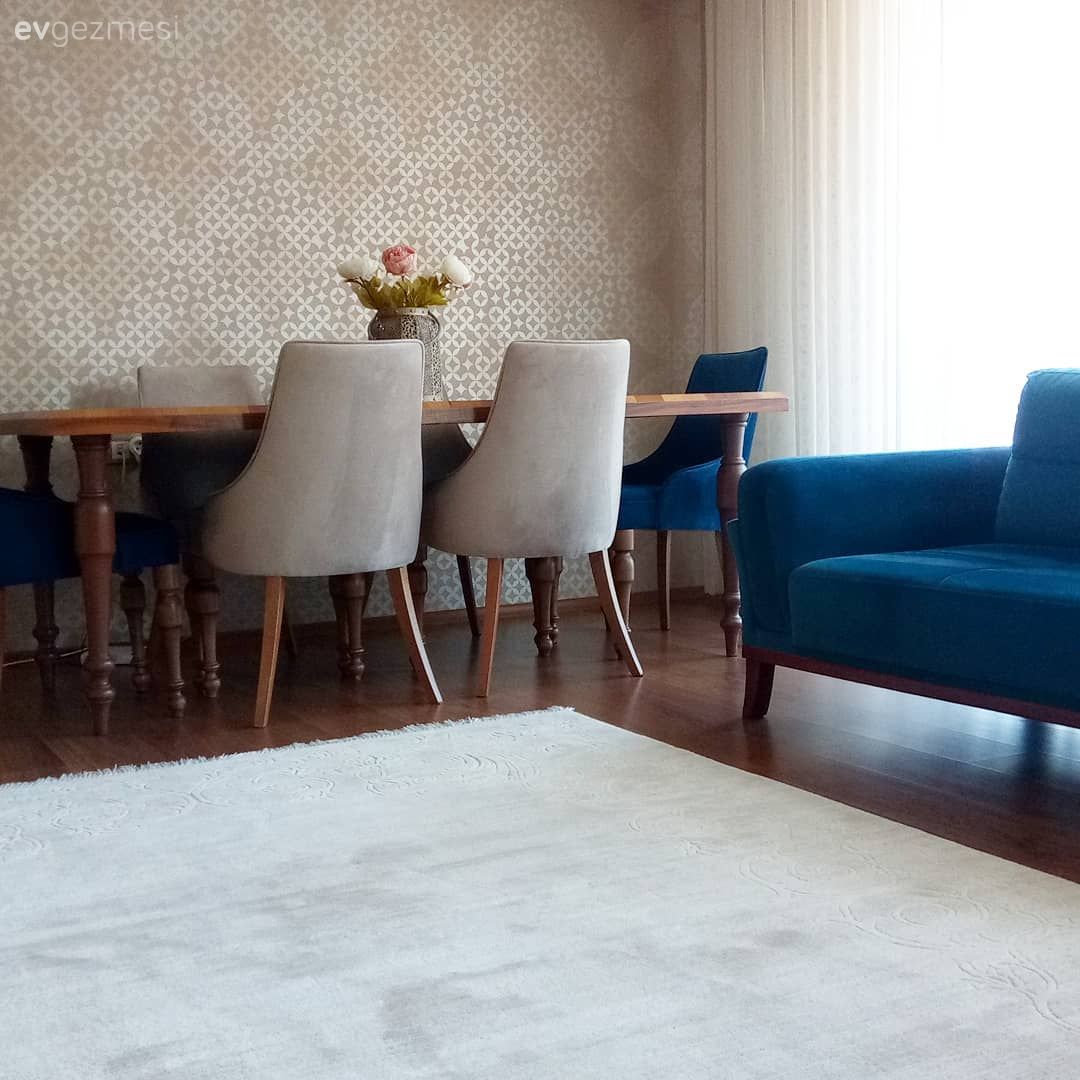 Salon, Yemek Odası, Krem, Halı, Mavi, Duvar kağıdı