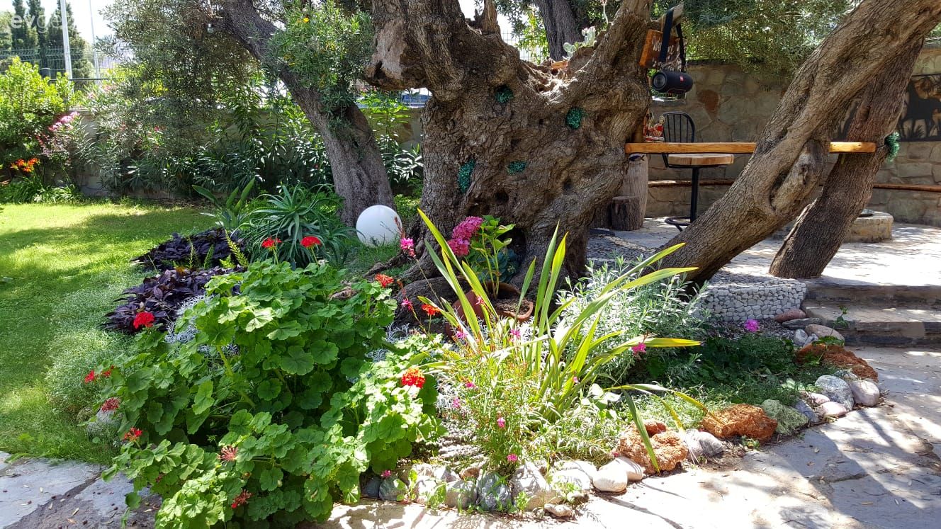 40 yıllık arkadaşlarla beraber mutlu bir yaşam. Zeytin Sitesi'ne konuğuz..