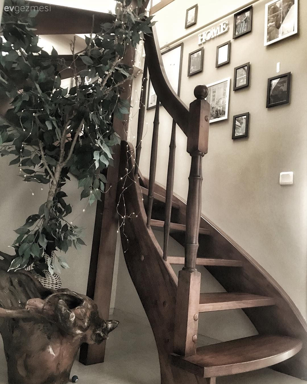 Merdiven, Galeri duvarı, Dubleks evler, Ev bitkisi