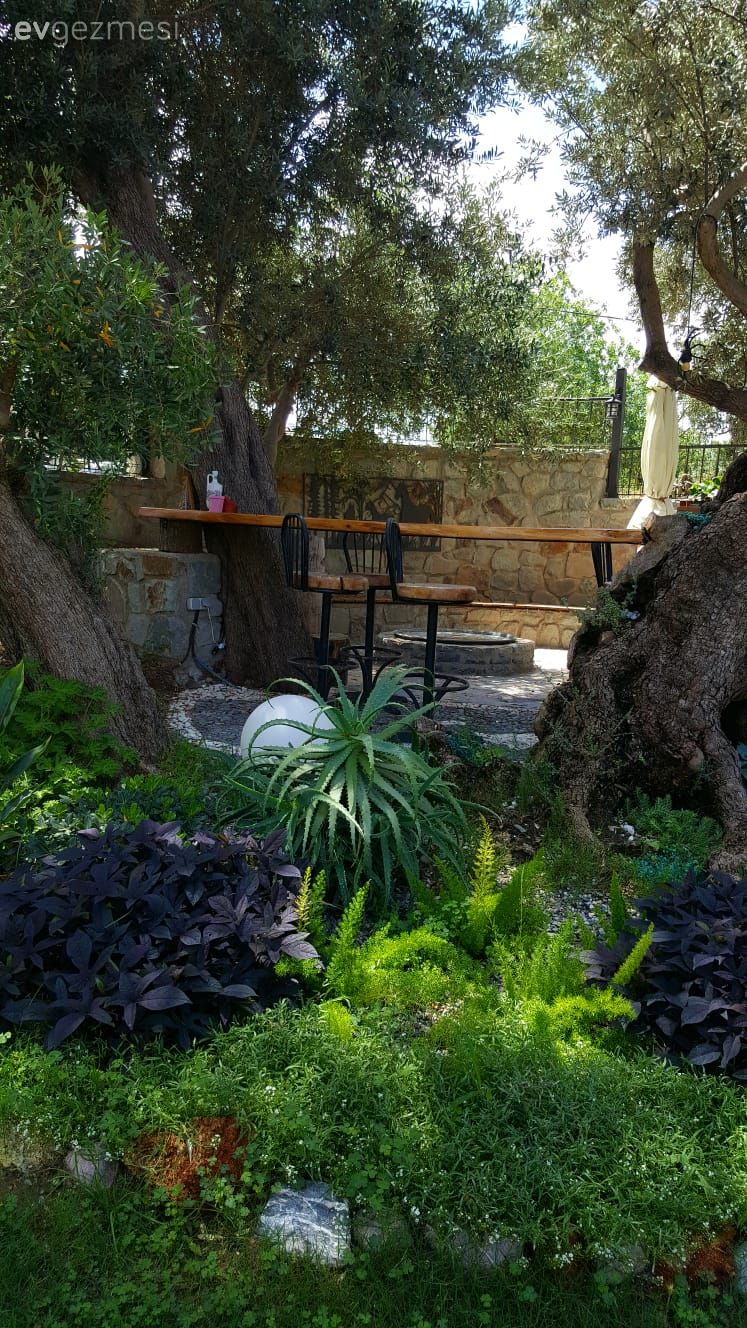 40 yıllık arkadaşlarla beraber mutlu bir yaşam. Zeytin Sitesi'ne konuğuz..