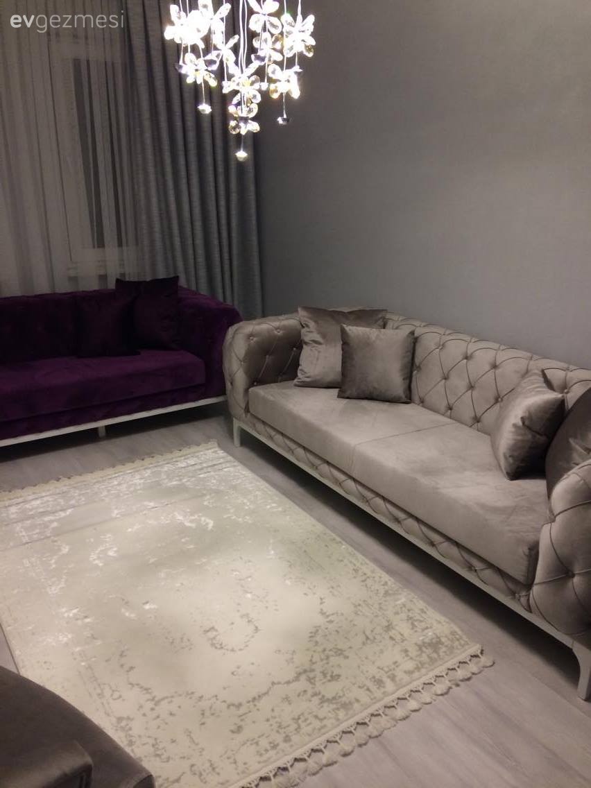 Fon perde, Gri, Halı, Mor, Salon, Perde