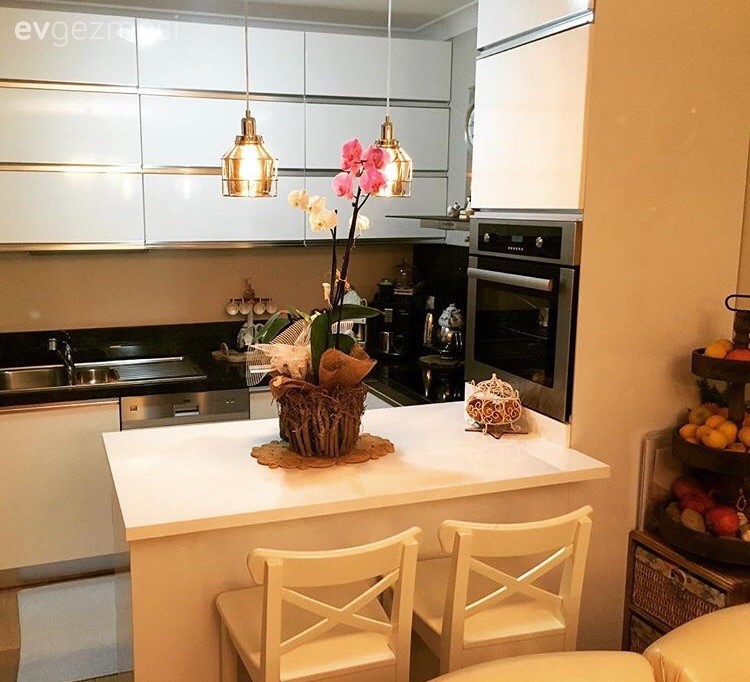 Amerikan Mutfak, Modern mutfak, Mutfak