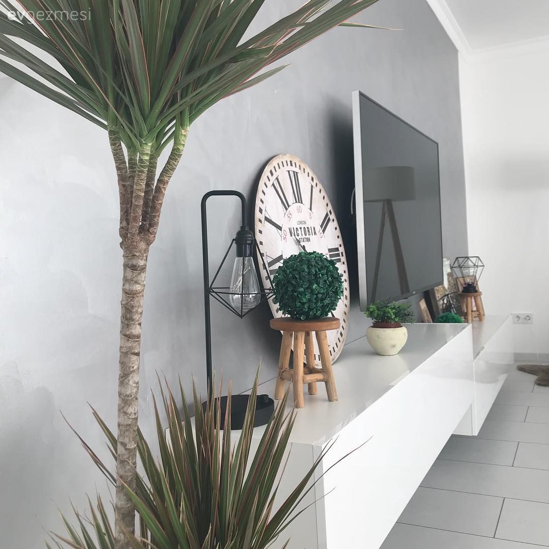 Salon, Tv ünitesi, Yeşil, Duvar saati, Gri, Duvar dekorasyonu