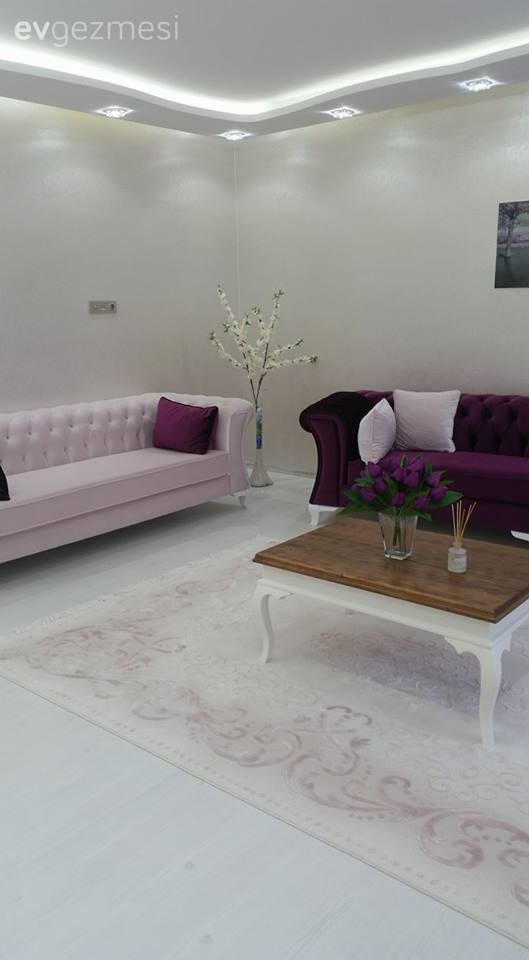 Ahşap Mobilya, Halı, Mor, Orta sehpa, Pembe, Salon