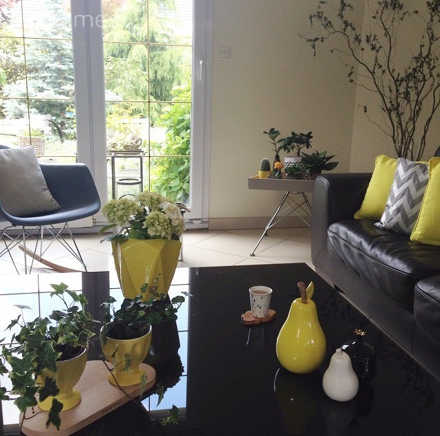 Yeşil ve çiçeklerin odakta olduğu zarif ve huzurlu bir ev