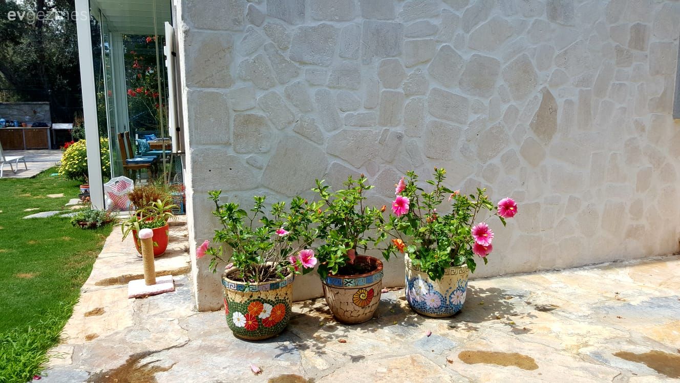 40 yıllık arkadaşlarla beraber mutlu bir yaşam. Zeytin Sitesi'ne konuğuz..