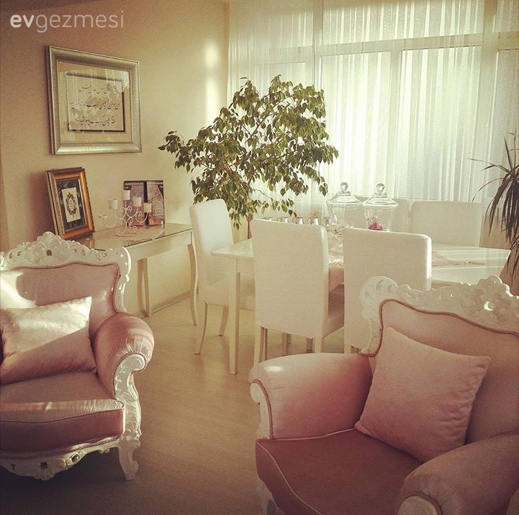 Çiçekler, Koltuk Döşeme, Pembe, Salon, Yemek Odası