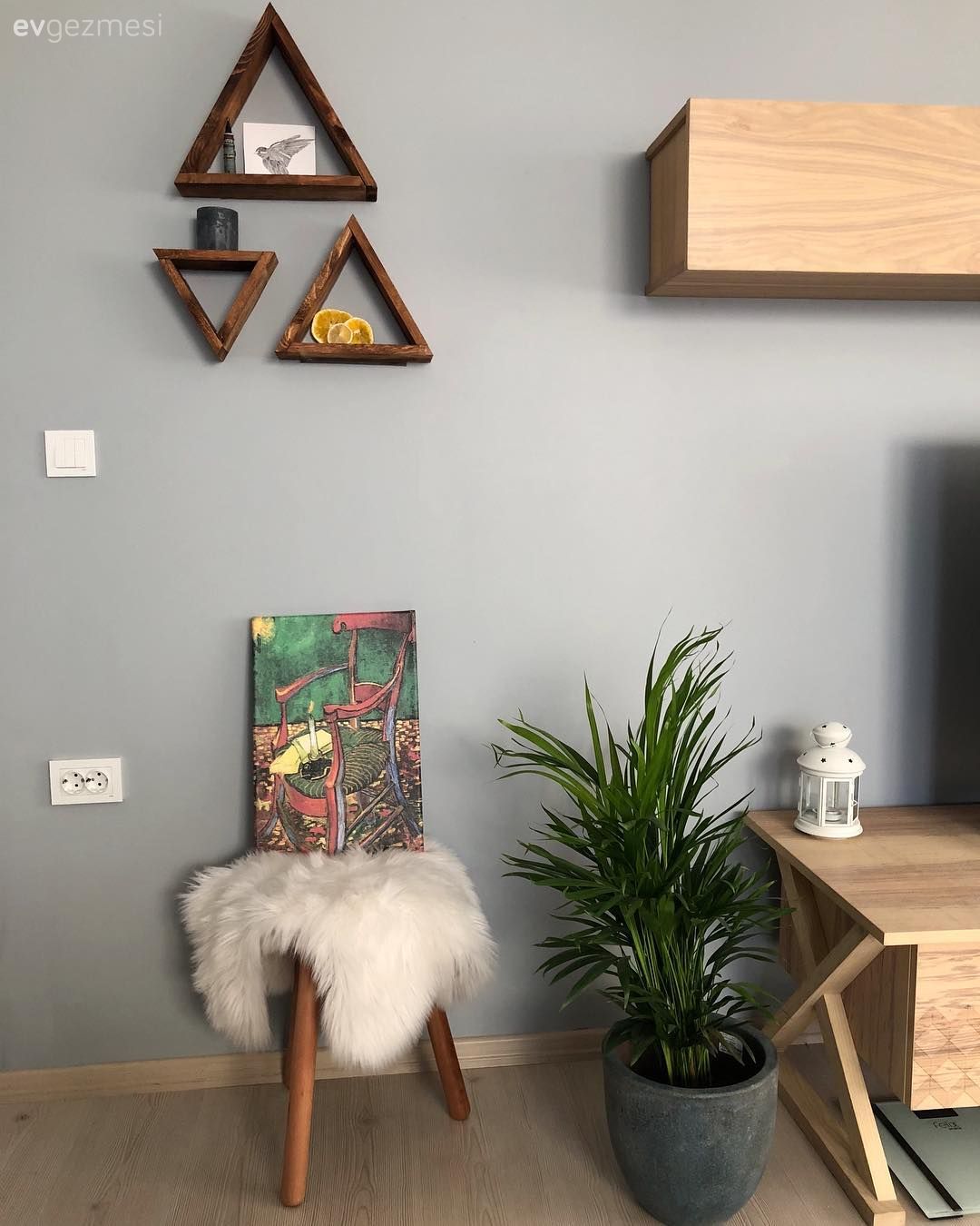 Salon, Puf, Duvar dekorasyonu, Gri duvar, Ev bitkisi