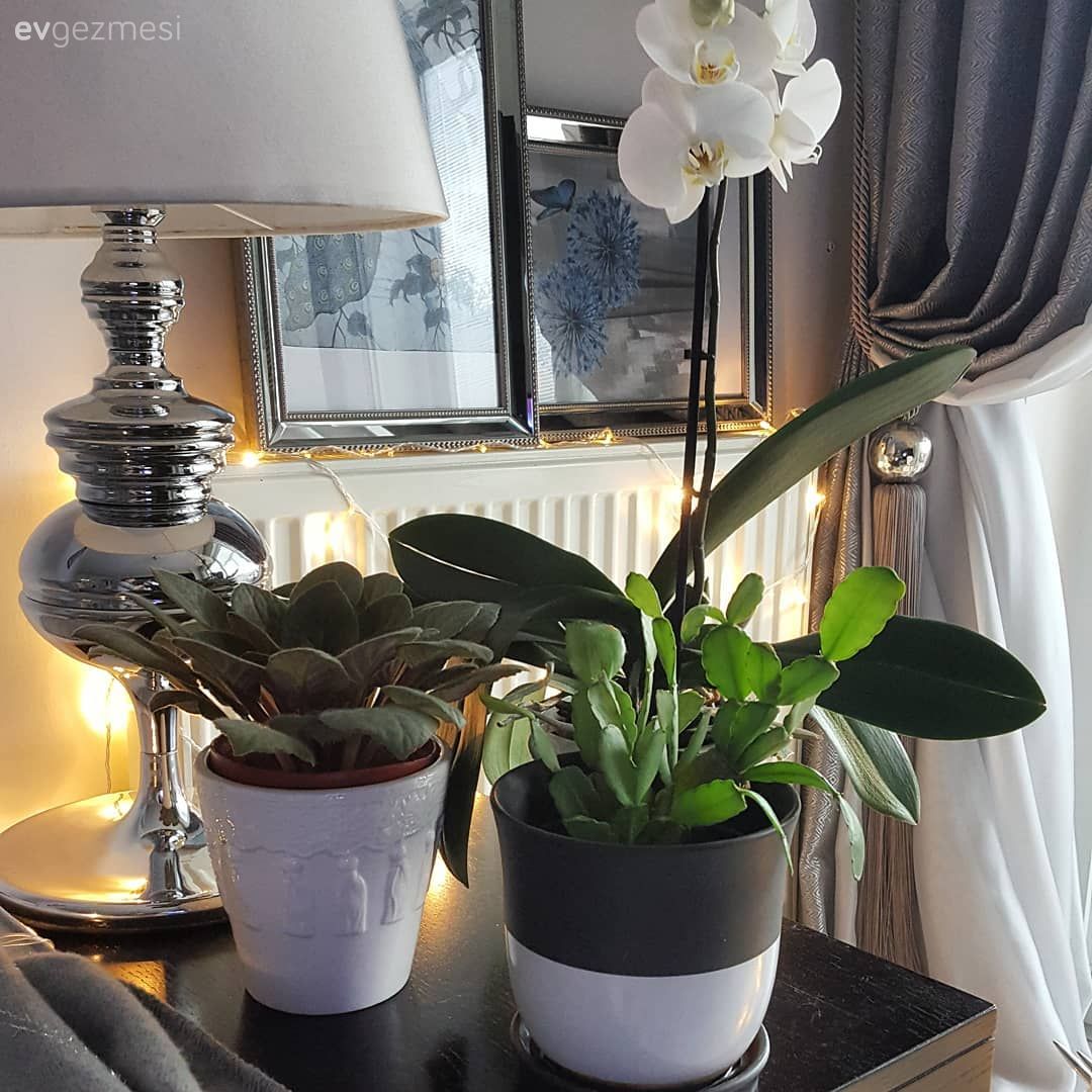 Gün ışığında şık, gece loş ışıklarda sıcacık. Filiz hanımın zevkli evi..