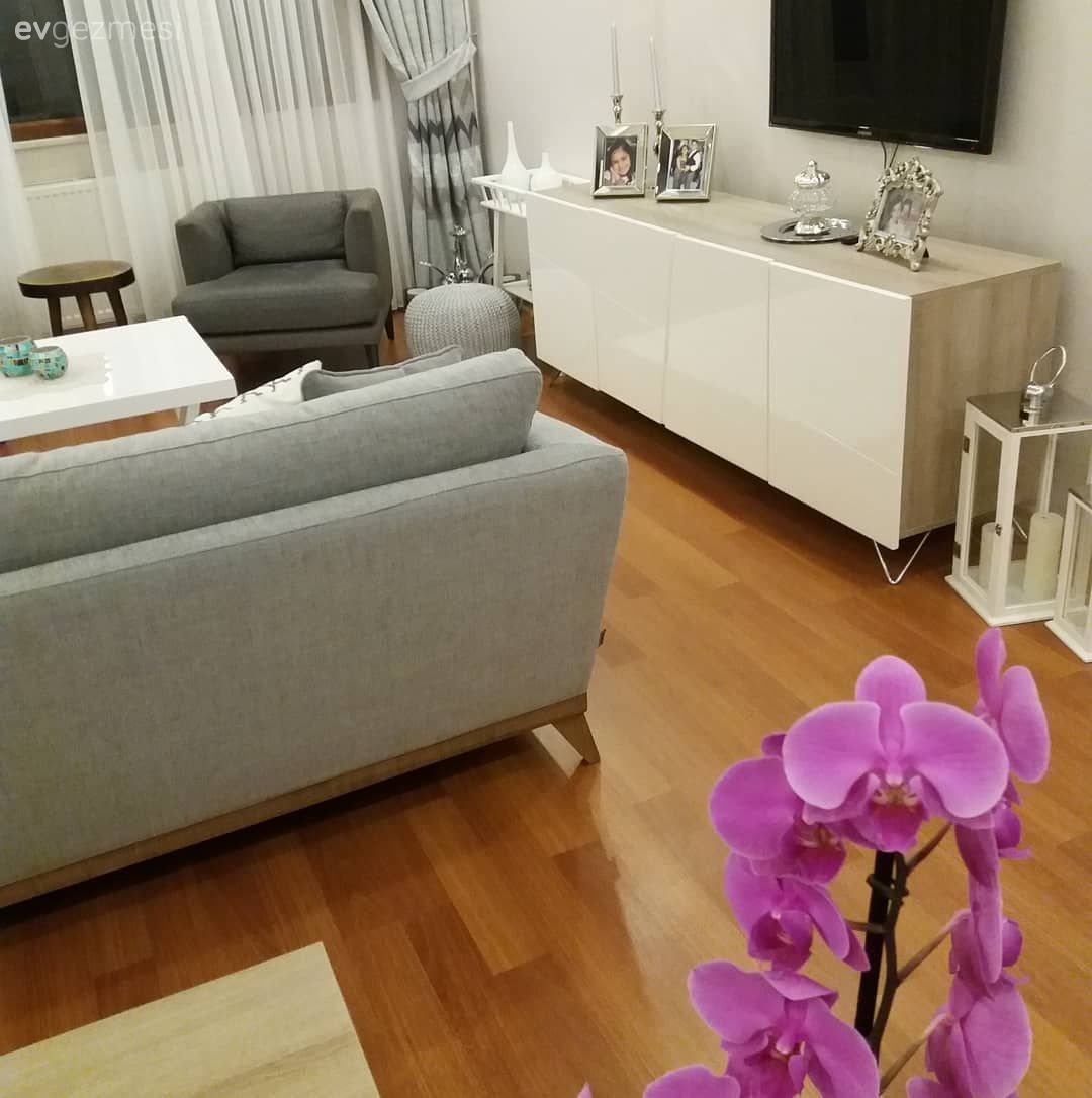 Salon, Orkide, Konsol, Fon perde, Perde, Gri