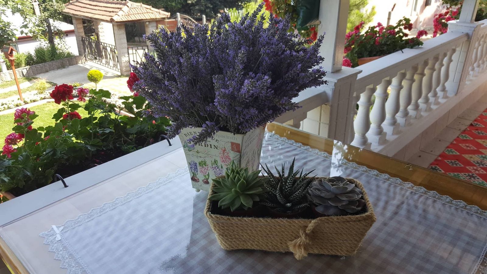 Rengarenk çiçekleri ile sanki cennetten bir köşe. Yasemin hanımın evi ve bahçesi..