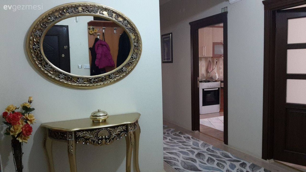 Antre, Ayna, Dresuar, Hol