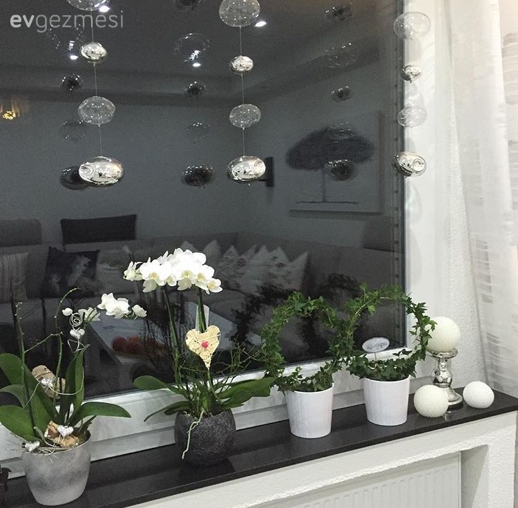 Çiçekler, Çiçeklik, Dekoratif Objeler, Salon