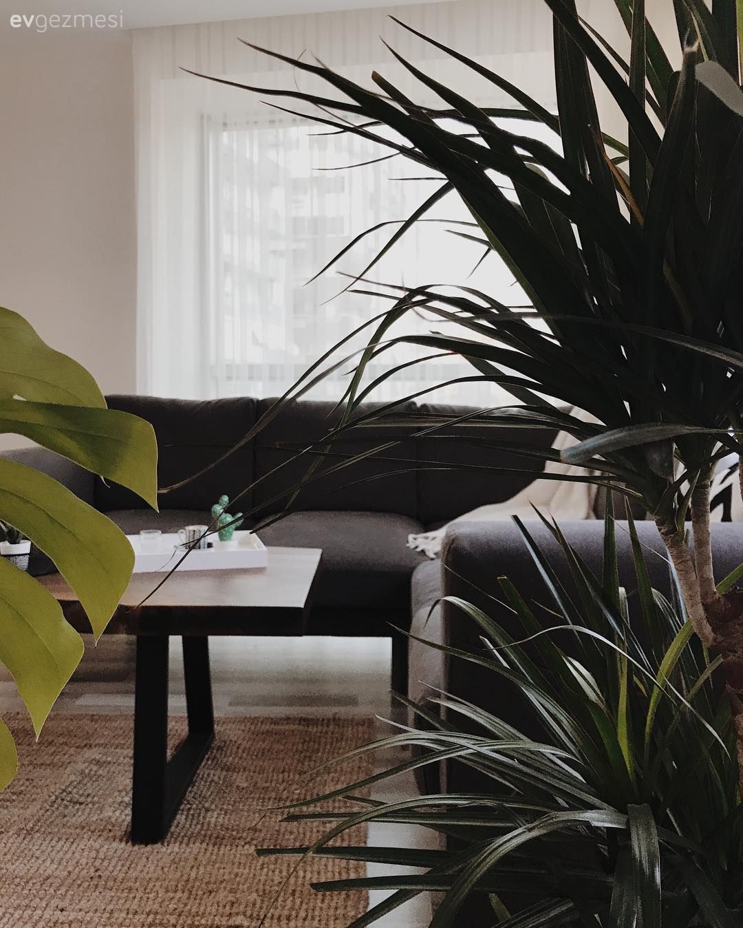 Doğallığın Huzur Veren Hissi. Sade ve Davetkar bir Ev