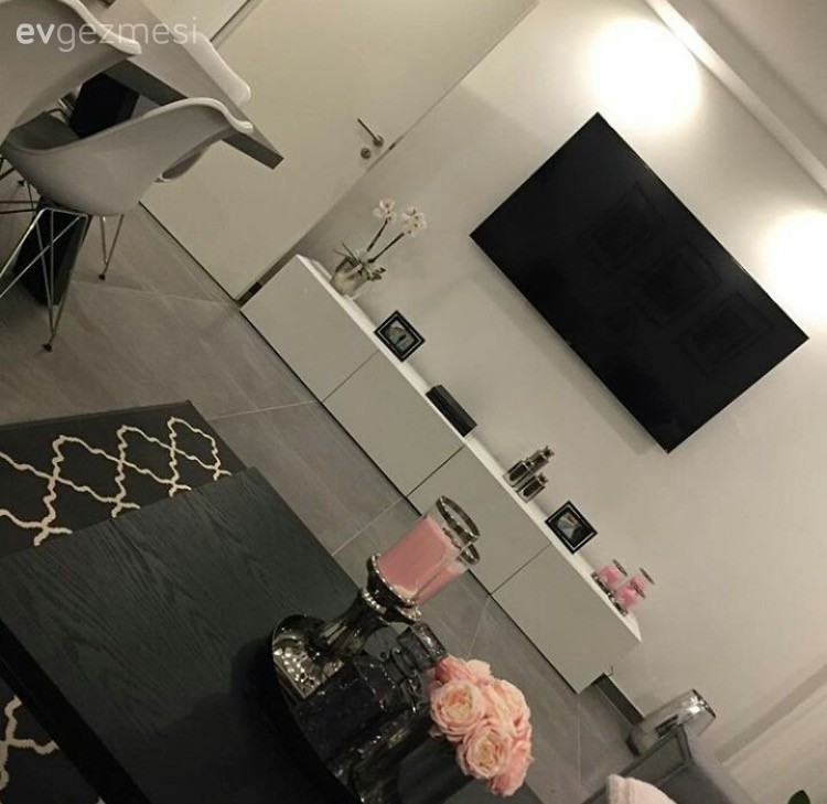 Halı, Orta sehpa, Salon, Tv ünitesi