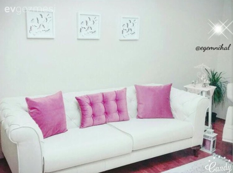 Beyaz, Duvar dekorasyonu, Pembe, Salon