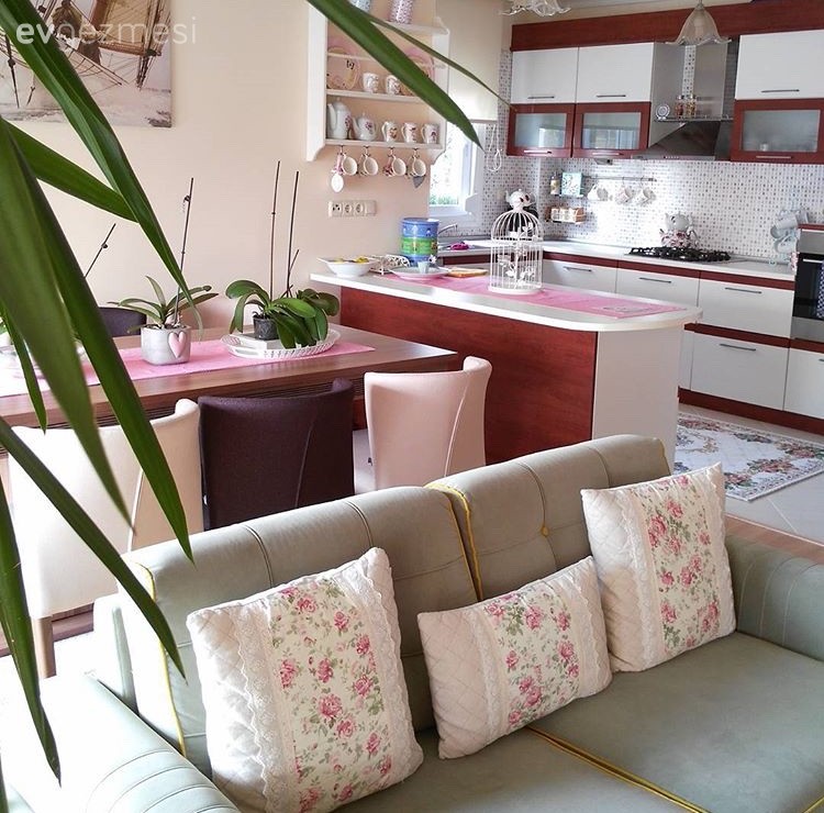 Amerikan Mutfak, Mutfak, Salon