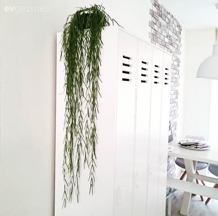 Aysu hanımın İskandinav esintili sade ve sofistike evi..