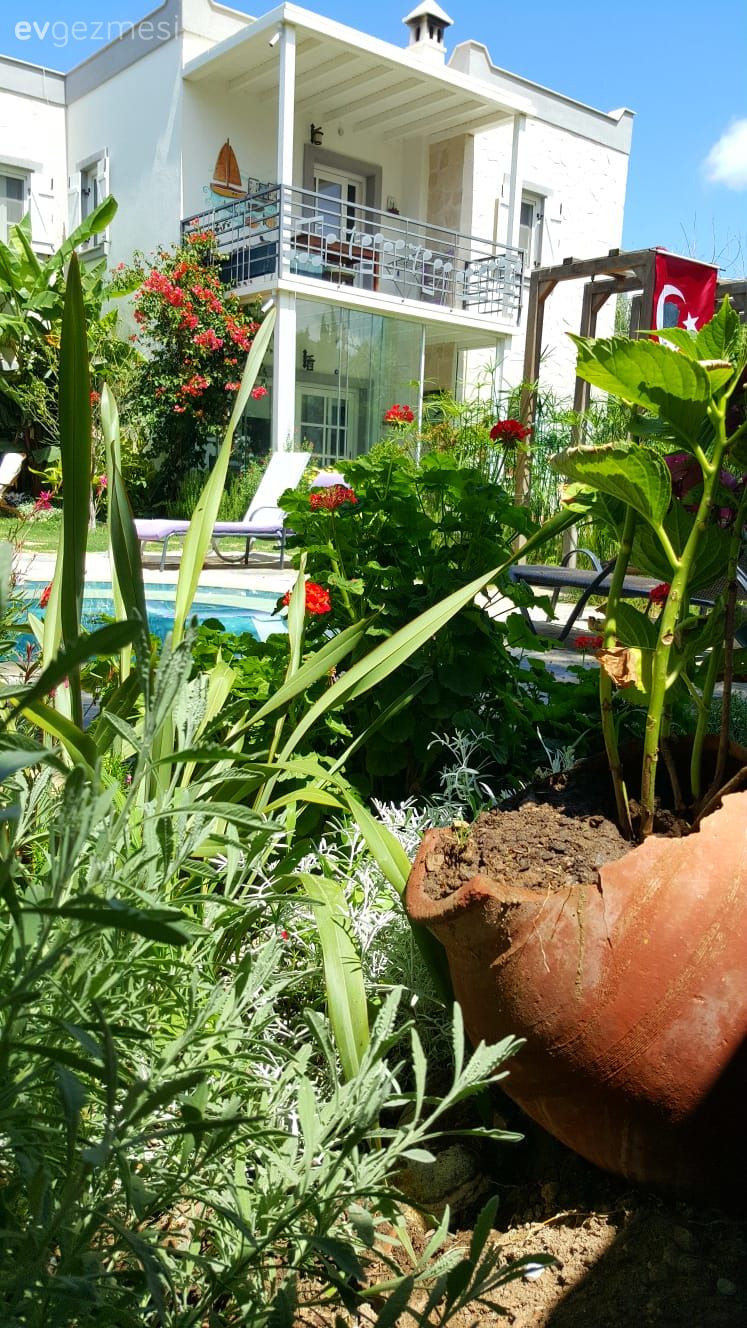 40 yıllık arkadaşlarla beraber mutlu bir yaşam. Zeytin Sitesi'ne konuğuz..