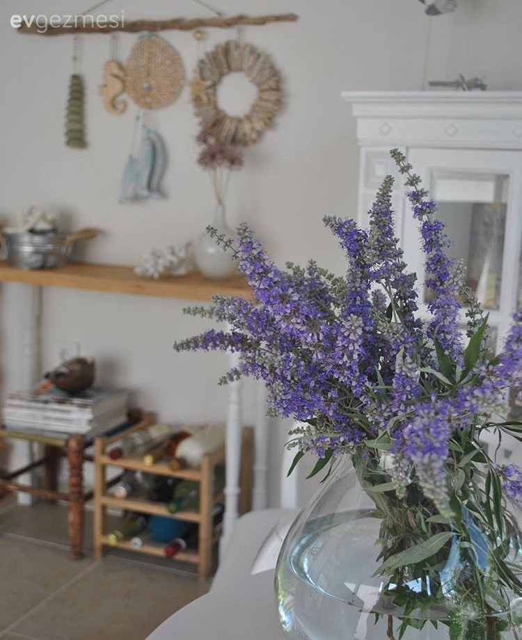 Duvar dekorasyonu, Kış bahçesi