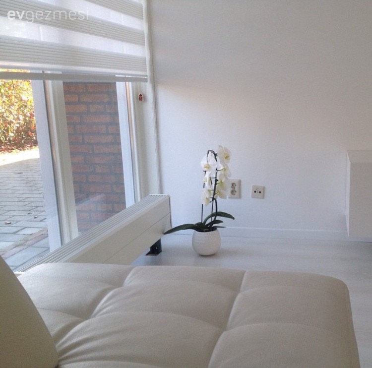 Beyaz, Köşe koltuk, Orkide, Salon