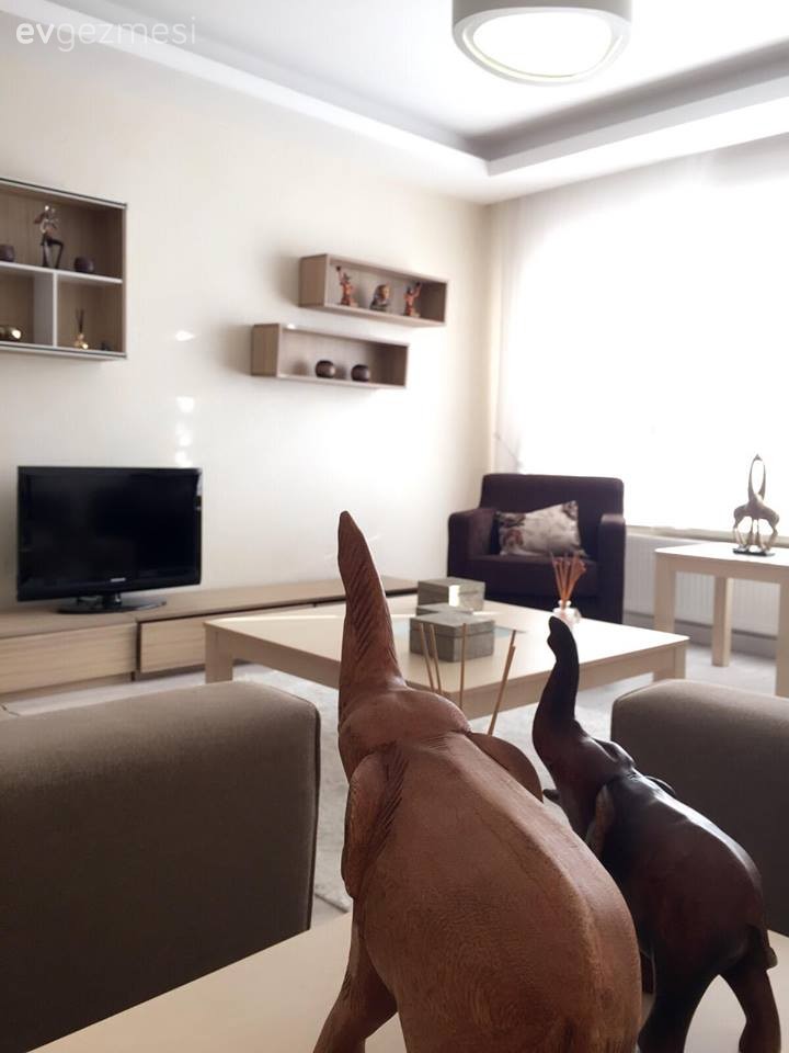 Ahşap Mobilya, Dekoratif Objeler, Duvar rafı, Salon, Tv ünitesi