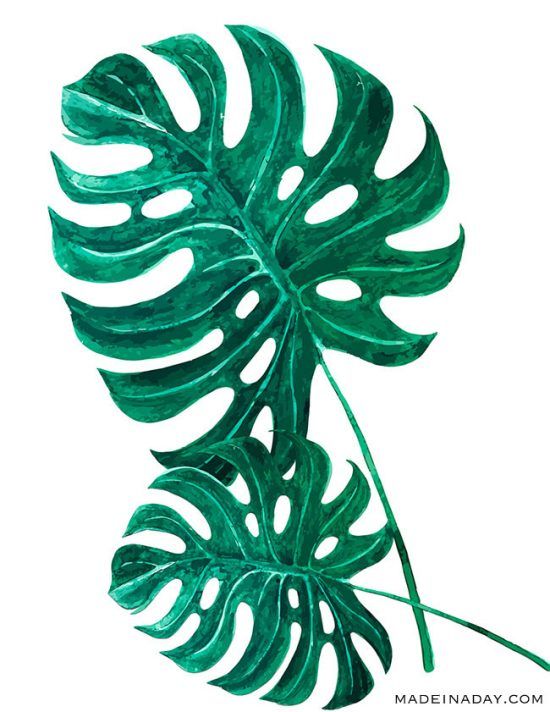 Bedava Botanik Posterlerden Eviniz İçin Tablo!