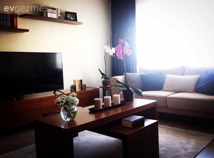 Ahşap Mobilya, Fon perde, Orkide, Orta sehpa, Salon, Tv ünitesi, Perde