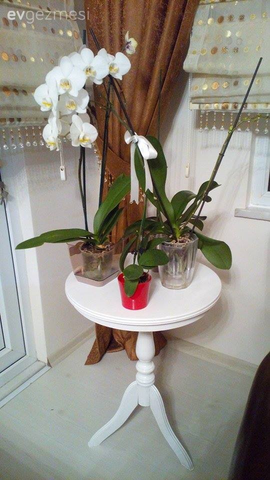 Kendin Yap, Mobilya boyama