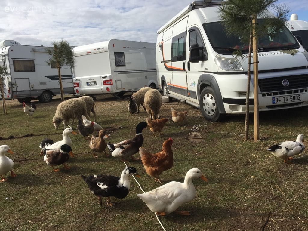 Bu karavan, tekerlekler üzerinde minik bir ev.
