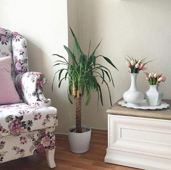 Reyhan hanımın odağında çiçeklerle, zarif ve iç açıcı evi..