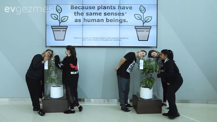 Ikea insanlardan 30 gün boyunca bir çiçeğe hakaret etmelerini istemiş. Sonuç ise çok etkileyici. 