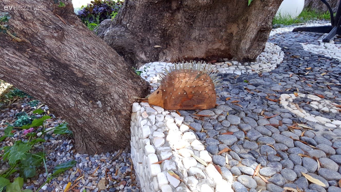 40 yıllık arkadaşlarla beraber mutlu bir yaşam. Zeytin Sitesi'ne konuğuz..