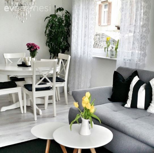 Çiçekler, Gri, Salon, Yemek Odası