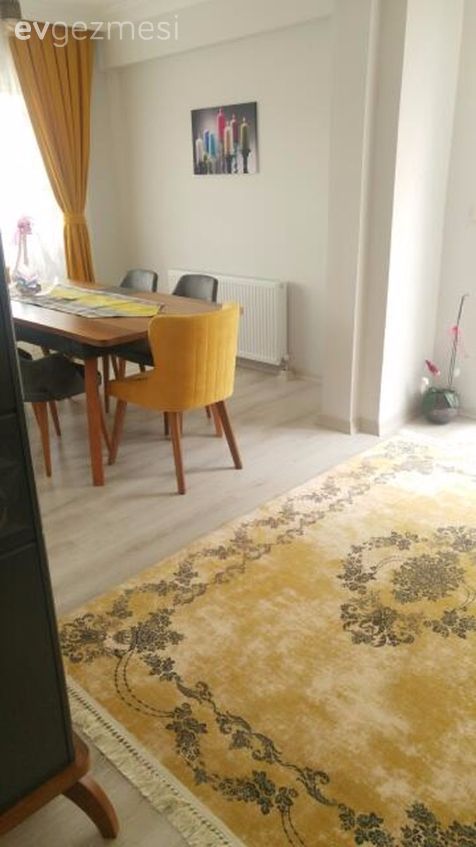 Salon, Halı, Yemek Odası, Sarı, Ceviz