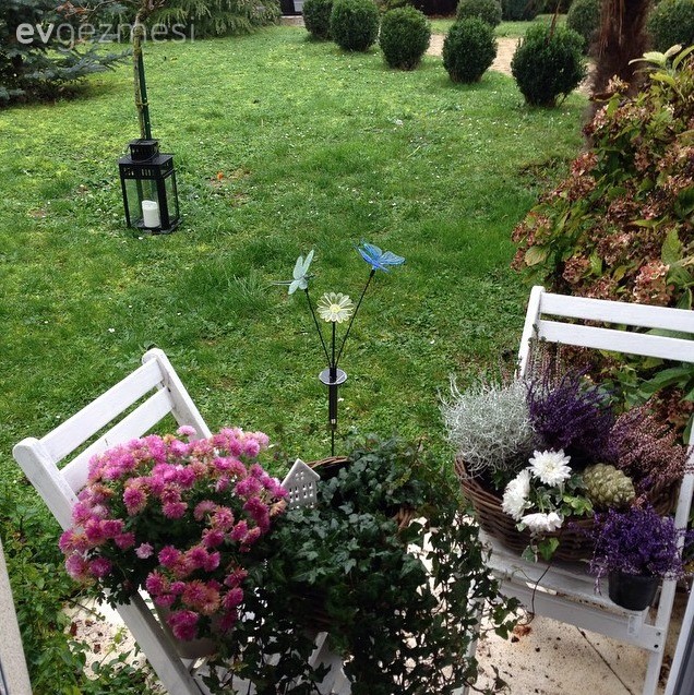 Bahçe, Çiçekler, Çiçeklik