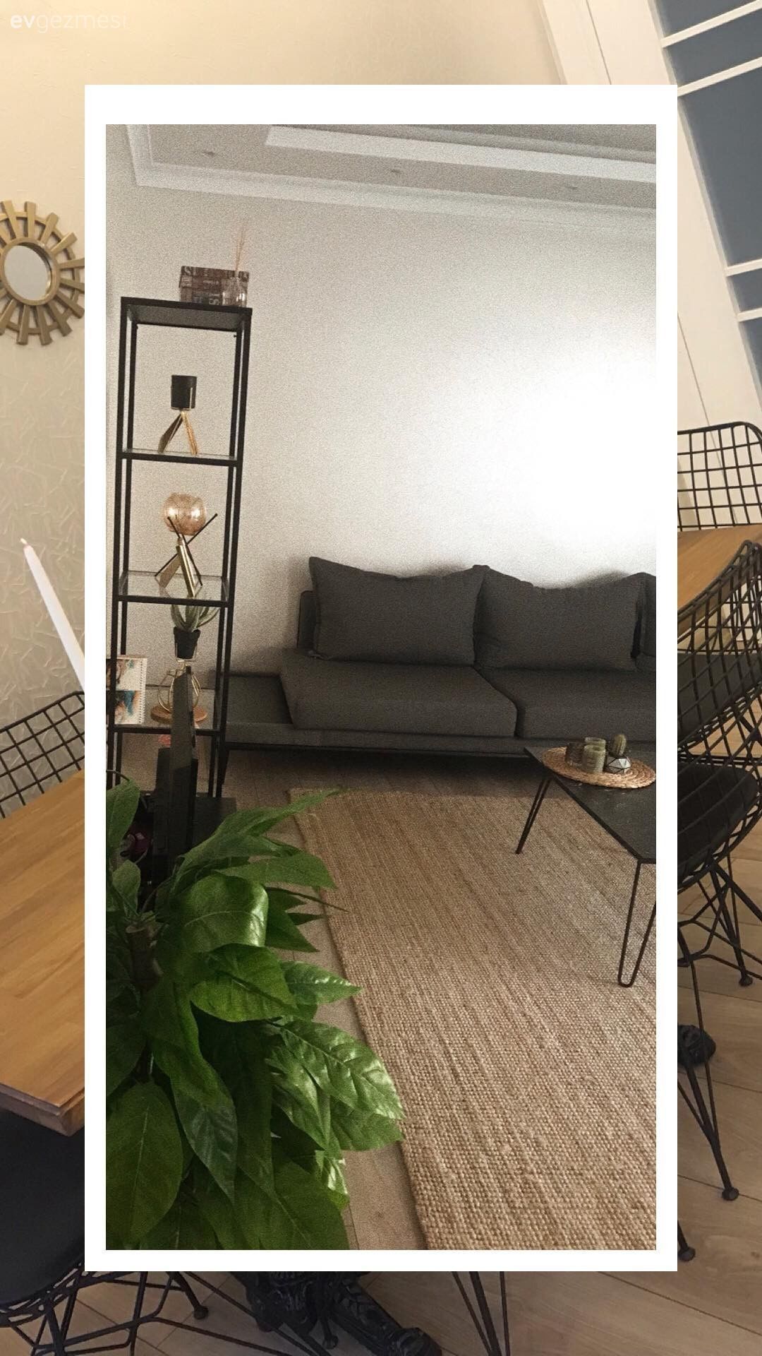 Salon, Jüt halı, Ev bitkisi