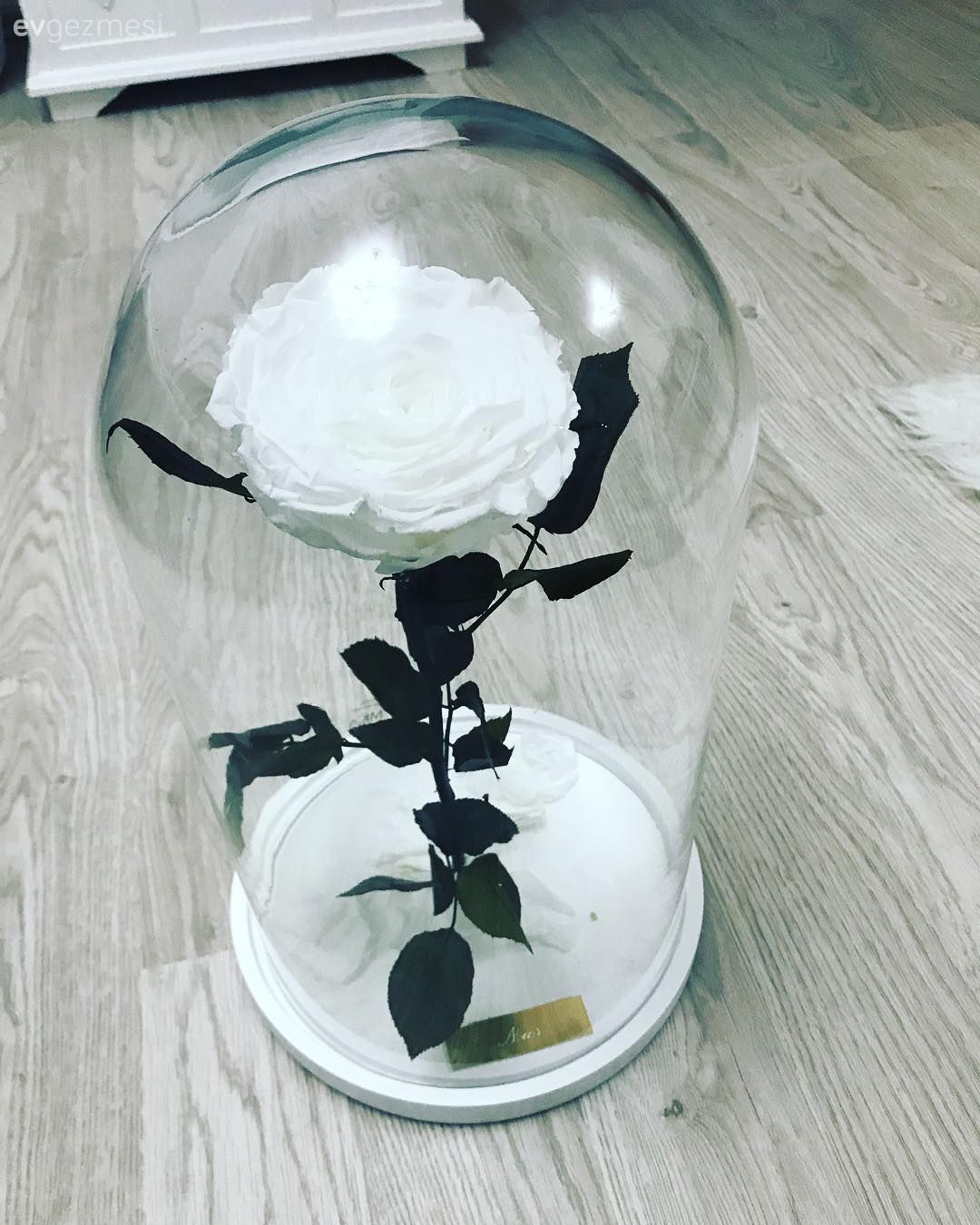 Salon, Dekoratif Objeler