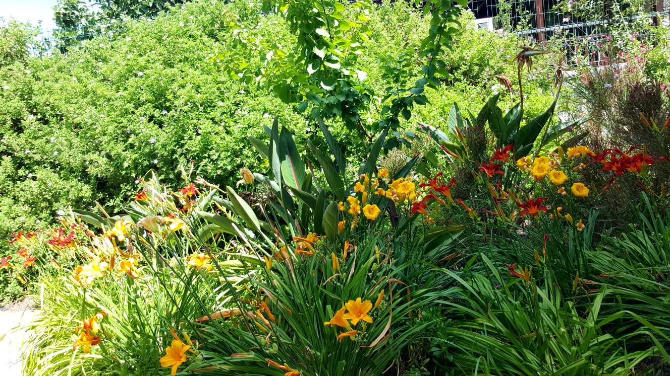 40 yıllık arkadaşlarla beraber mutlu bir yaşam. Zeytin Sitesi'ne konuğuz..