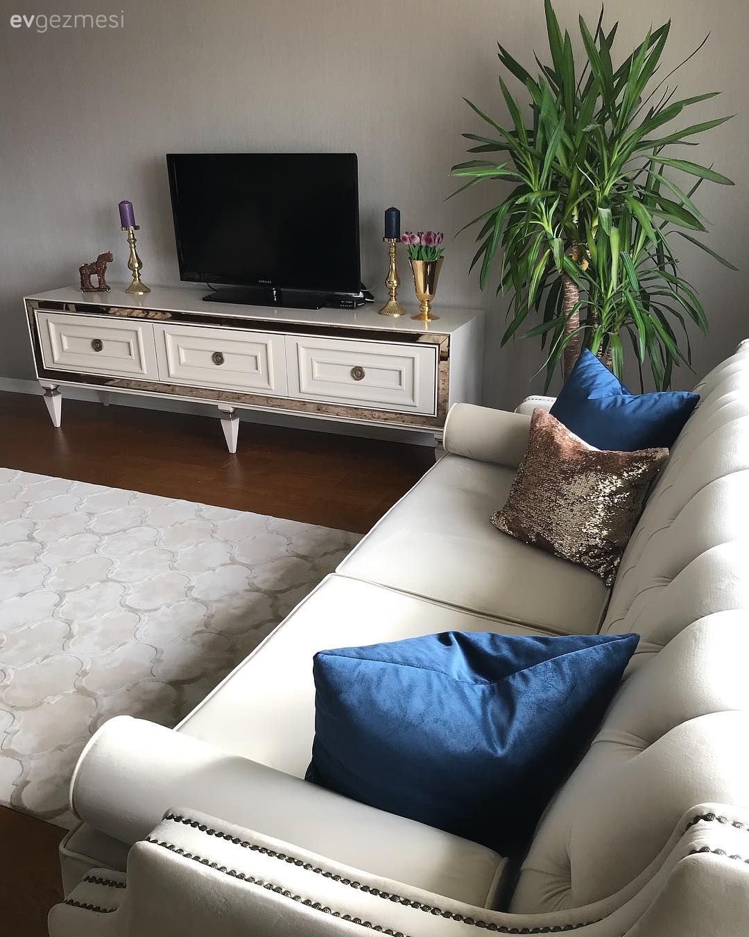 Ev bitkisi, Salon, Tv ünitesi, Aynalı mobilya, Lacivert