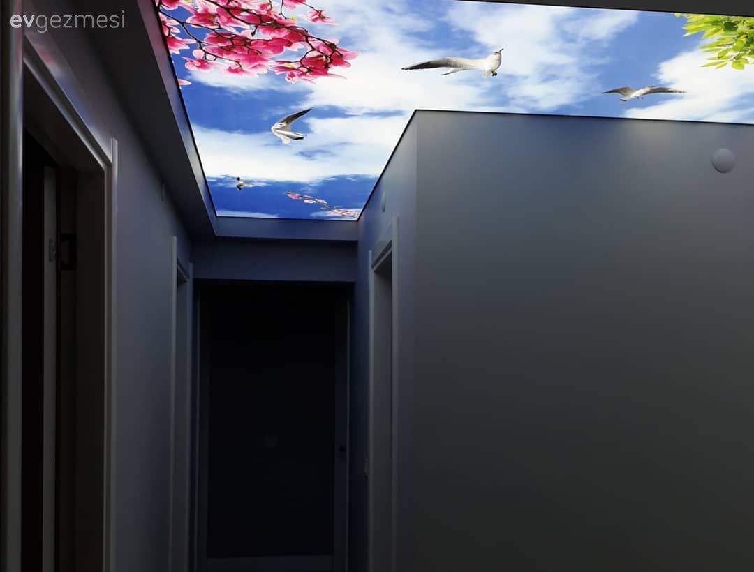 Gergi tavan, Antre, Hol