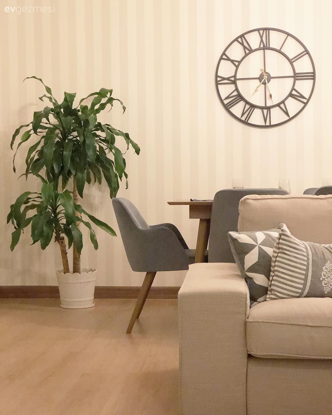 Ev Gezmesi: Yumuşak Renk Geçişleriyle  Doğal ve Samimi Bir Dekor