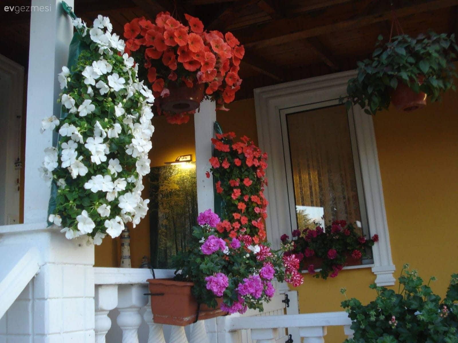 Çiçekler, Peyzaj, Teras